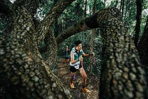 BIB: 
                            <button type="button" onclick="openModal(25392131)" class="btn btn-primary btn-sm float-right btn-popup" data-toggle="modal" data-target=".modal-high-quality">
                        <i class="fas fa-shopping-cart"></i> Add to Cart
                    </button>
                                            <button type="button" onclick="isThisMe(25392131, true)" class="btn btn-success btn-sm float-right btn-popup btn-isme hidden" data-toggle="tooltip" data-placement="bottom" title="นี่คือรูปของคุณใช่ไหม คลิกที่นี่เพื่อเอาเข้าอัลบั้ม">
                        <i class="fas fa-plus"></i> Add to album
                    </button>
                    <button type="button" onclick="isThisMe(25392131, false)" class="btn btn-warning btn-sm float-right btn-popup btn-isnotme hidden">
                        <i class="fas fa-ban"></i> Remove from album
                    </button>